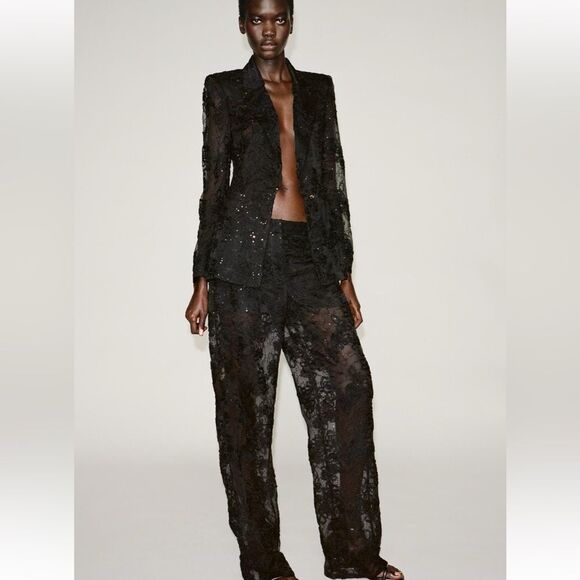 Zara structured sequin semi sheer pants - Picture 1 of 5